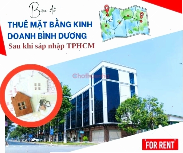 Lưu ý khi mèo tam thể vào nhà