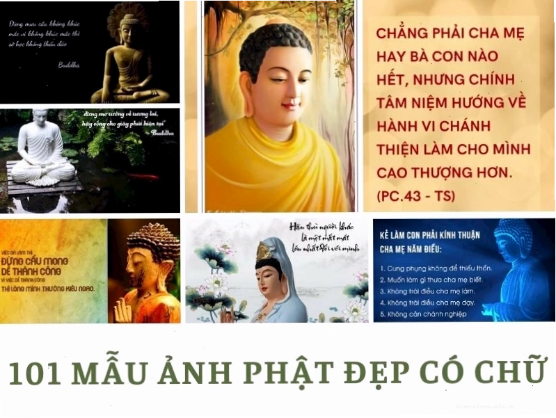 Mẫu hình Phật đẹp có chữ với lời dạy về lòng từ bi