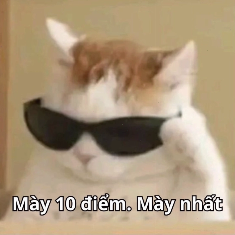 Meme 10 điểm về chủ đề công nghệ