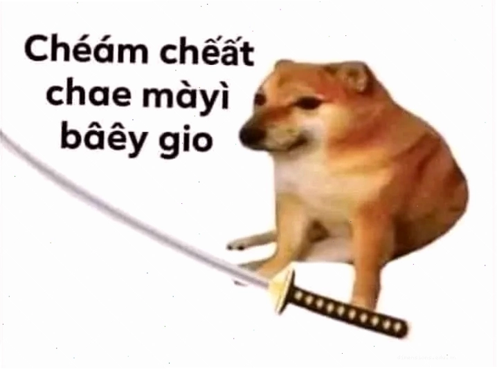 Meme Cheems với nền trong suốt, dễ dàng tùy chỉnh và sử dụng