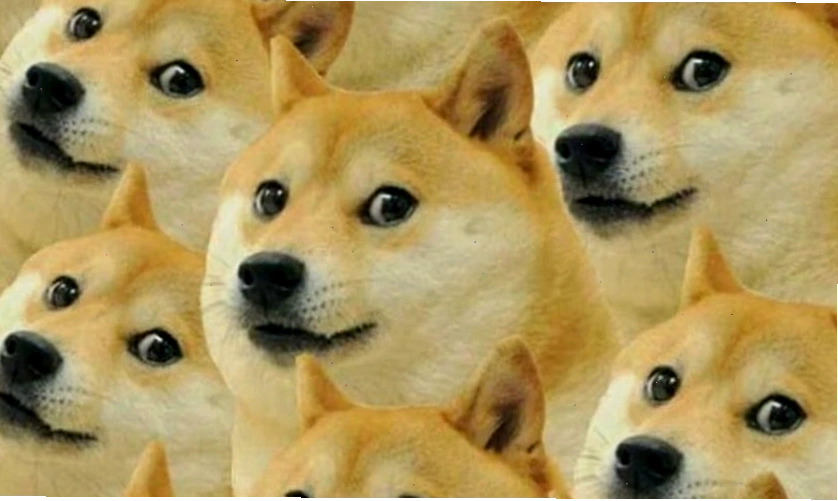 Meme chú chó đang ăn
