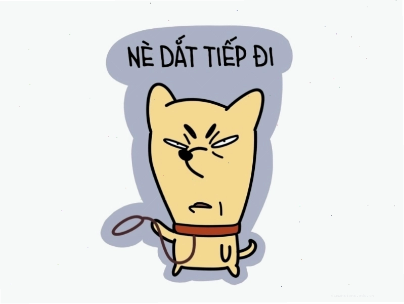 Meme chú mèo với lời thoại hài hước