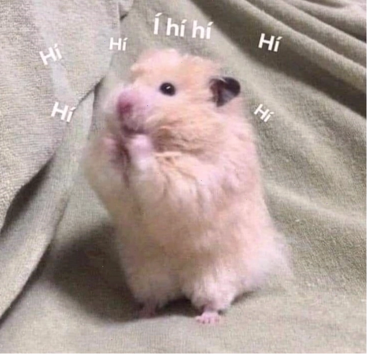 Meme chuột hamster đáng yêu và hài hước