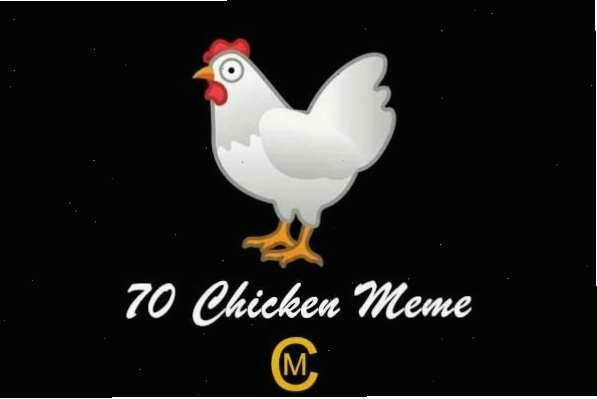 Meme gà với biểu cảm hài hước và dòng chữ thú vị