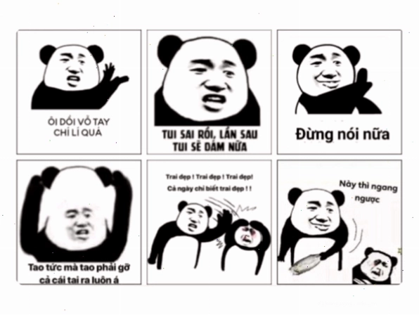 Meme gấu trúc đáng yêu thể hiện sự chán nản