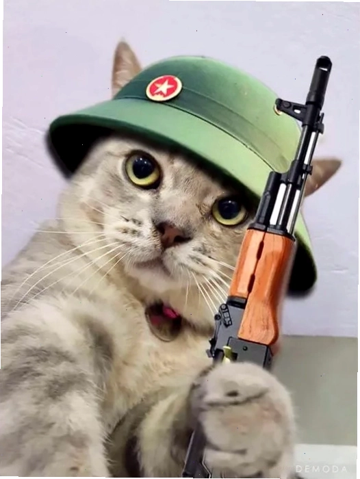 Meme giơ tay cầm súng