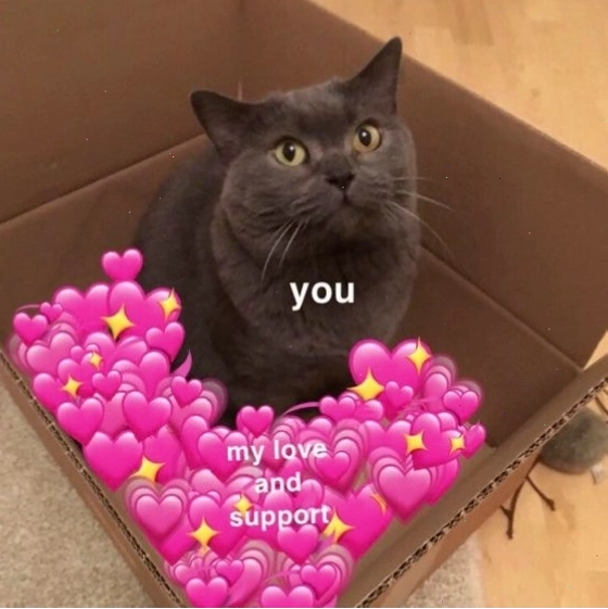 Meme mèo buồn với ánh mắt lém lỉnh