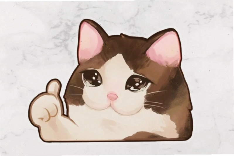 Meme mèo cute giơ tay OK thể hiện sự đồng ý