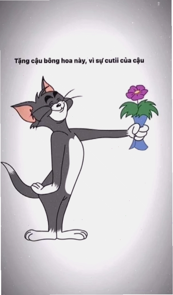 Meme mèo tom tặng hoa