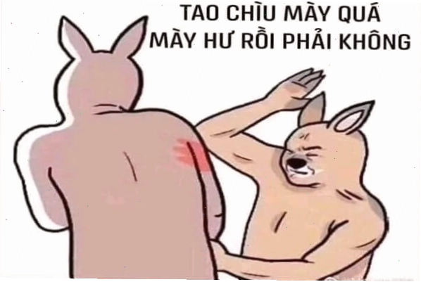 Meme người thỏ đánh bạn, một ví dụ về meme hài hước quốc tế