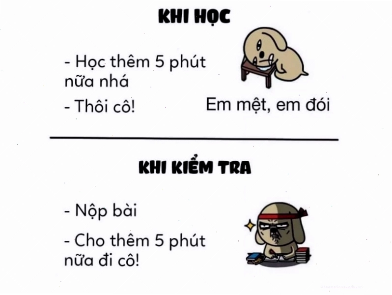 Meme so sánh thời gian học và thi
