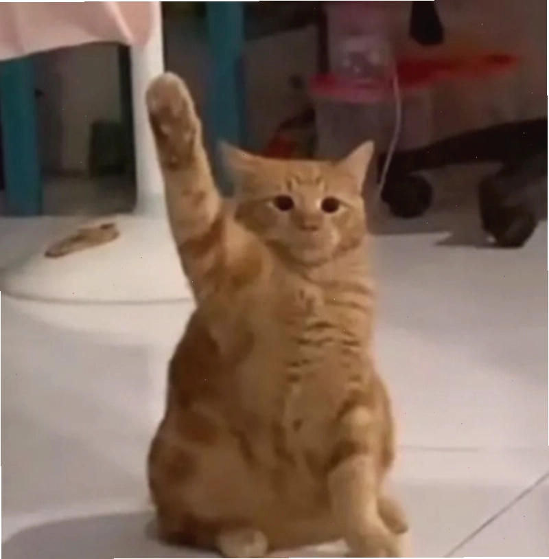 Meme tạm biệt độc đáo