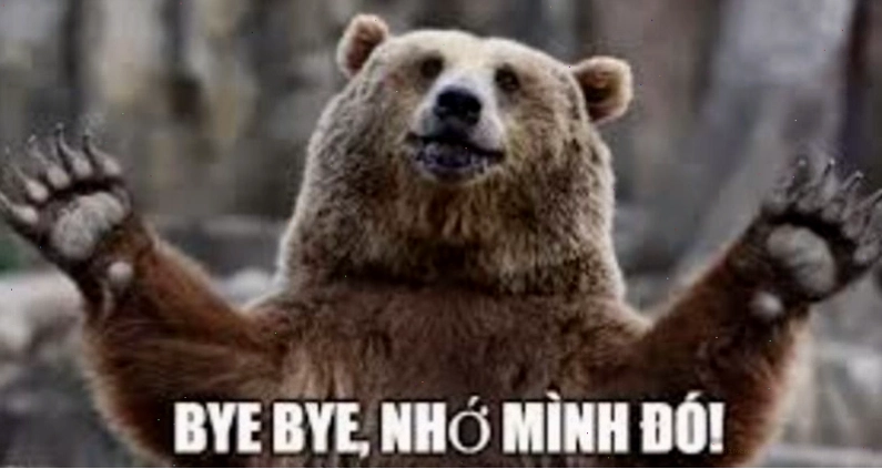 Meme tạm biệt với nhân vật gấu trúc dễ thương