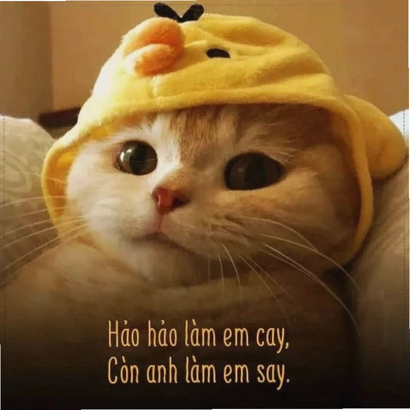 Meme tình yêu thể hiện niềm hạnh phúc giản đơn