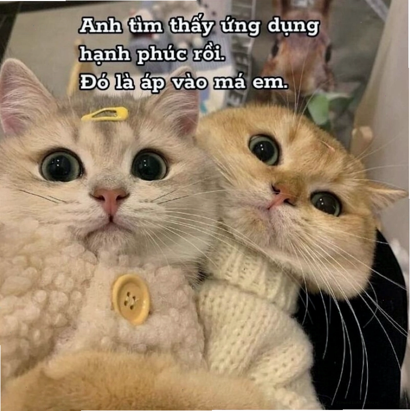 Meme tình yêu thể hiện sự cam kết và gắn bó lâu dài