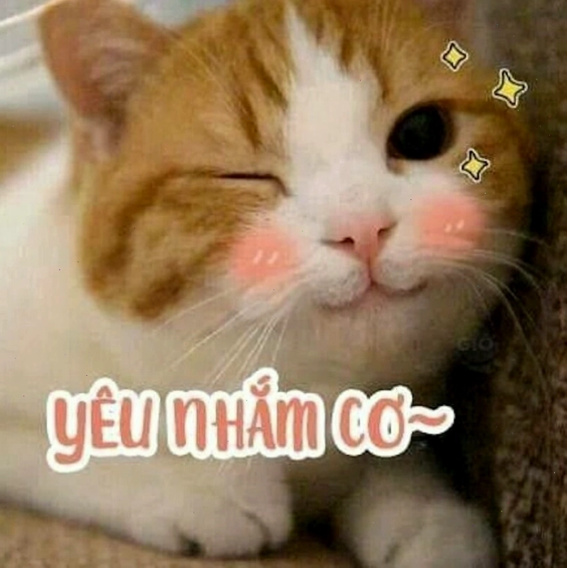 Meme tình yêu về sự khác biệt trong sở thích của cặp đôi