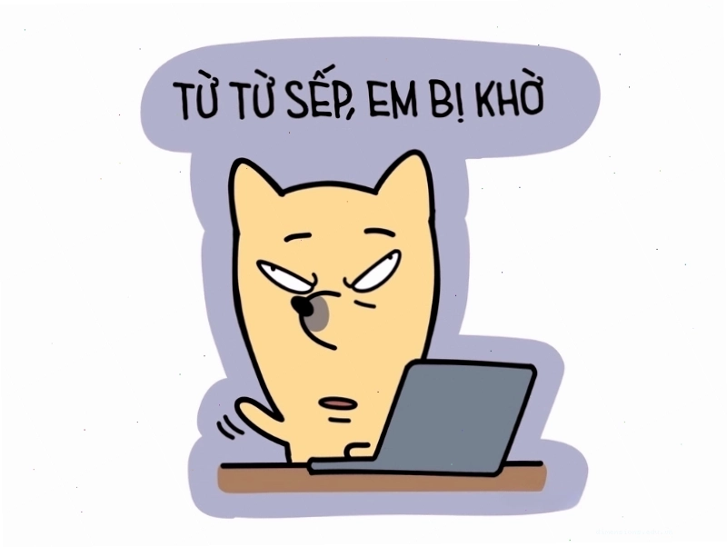 Meme "Từ từ sếp, em bị khờ" thể hiện sự "ngây thơ" một cách hài hước