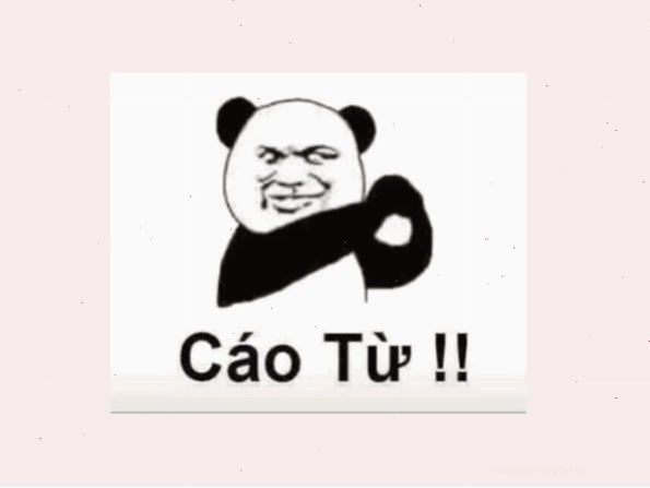 Meme về chú mèo với biểu cảm hài hước