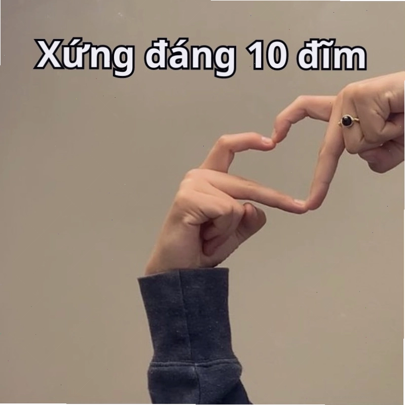 Meme về điểm 10 vui nhộn