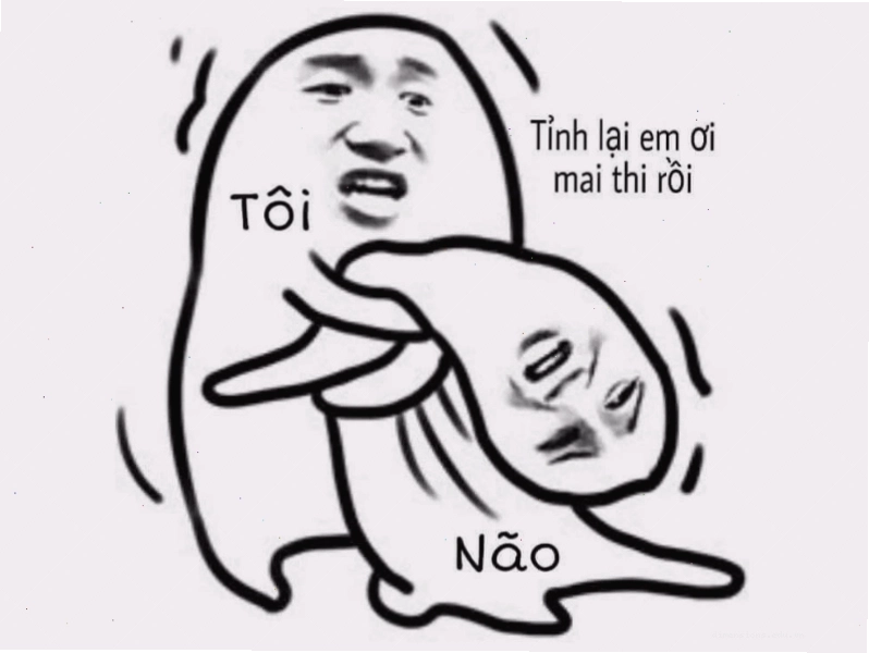 Meme về não bộ trước kỳ thi