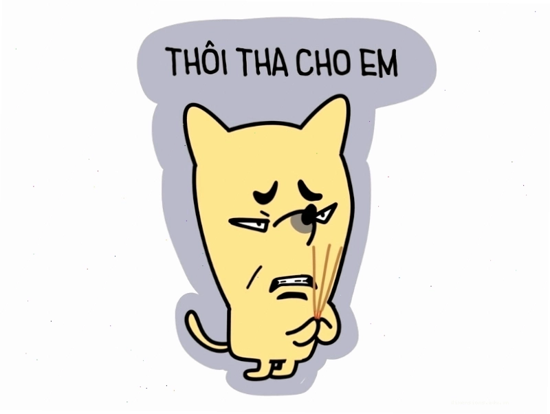 Meme với biểu cảm van xin hài hước