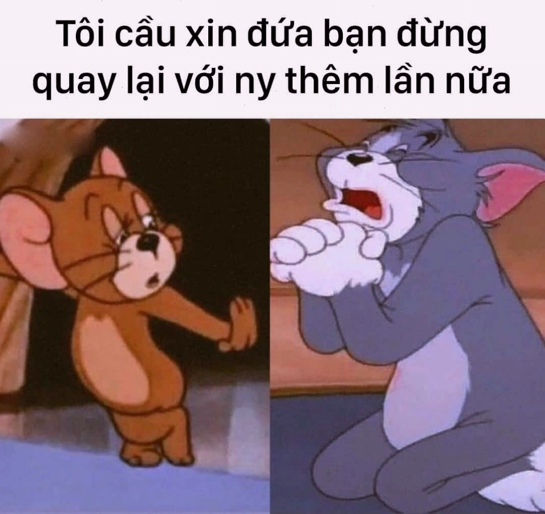 Mèo Tom lầy lội trong meme