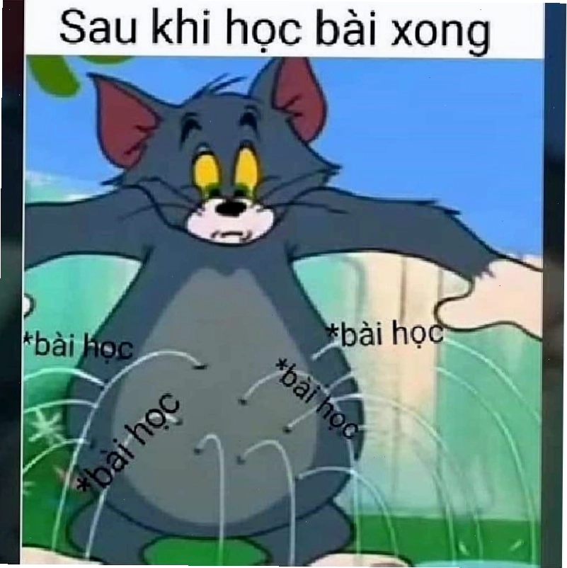 Mèo Tom ngồi thẫn thờ thể hiện sự bất lực