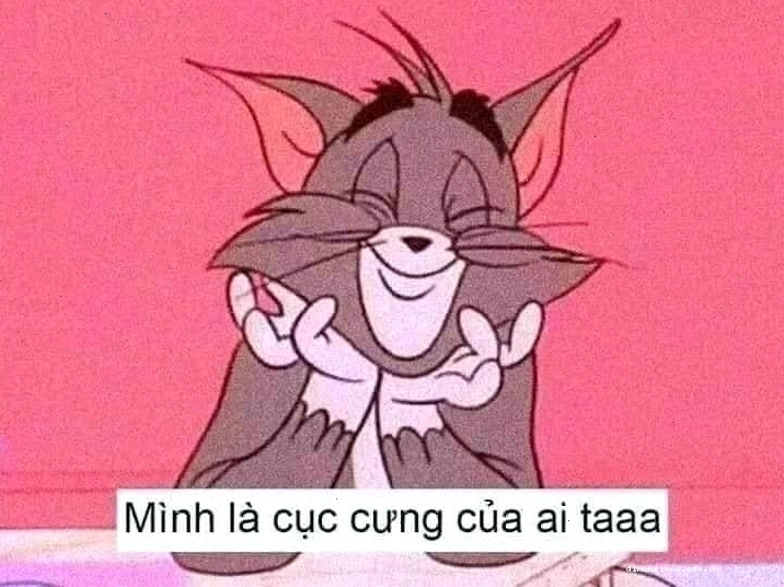 Mèo Tom ngủ ngon lành
