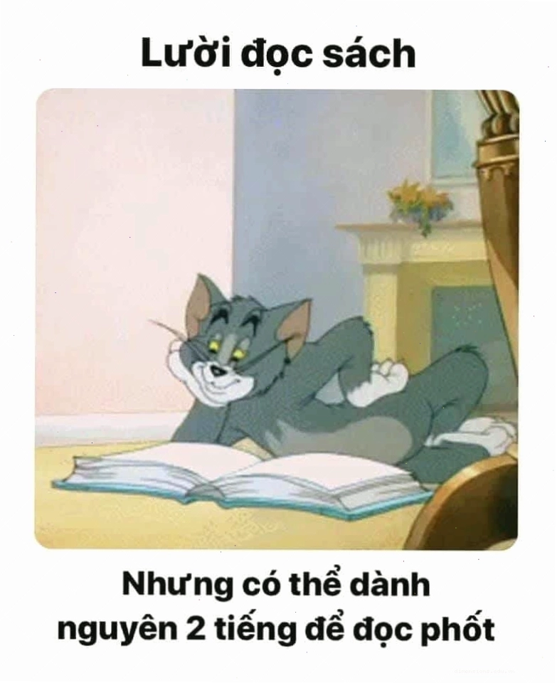 Mèo Tom với biểu cảm bựa khó đỡ