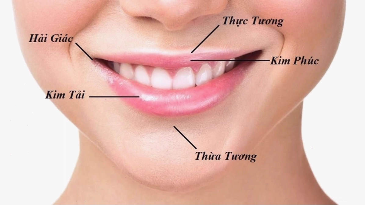 Miệng là bộ phận tiết lộ tài lộc và vận mệnh