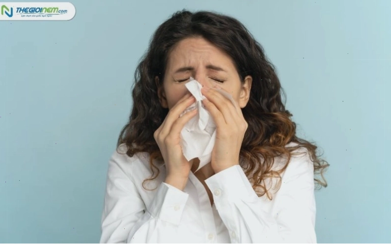 Minh họa các tác nhân gây kích ứng mũi dẫn đến hắt hơi như bụi, phấn hoa, khói