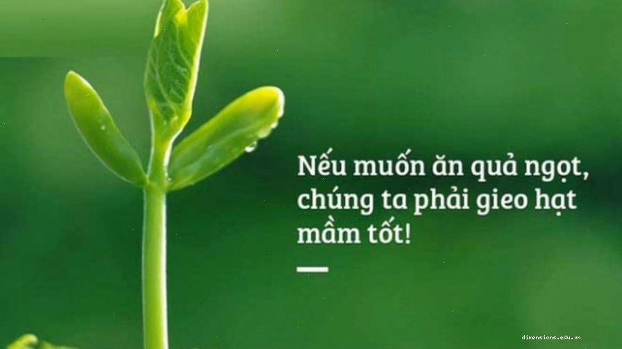 Minh họa về luật nhân quả trong cuộc sống