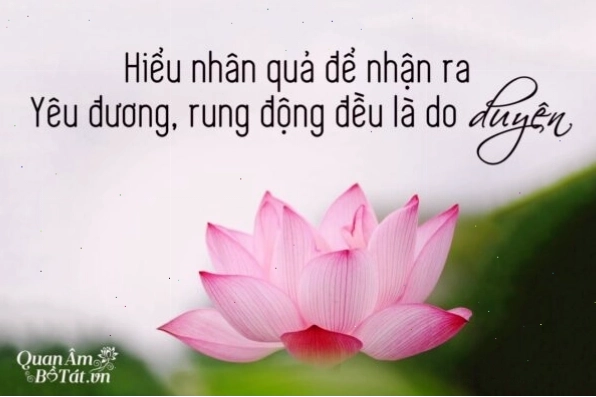 Minh họa về luật nhân quả với hình ảnh gieo hạt và quả ngọt