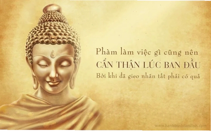 Minh họa về nhân và quả