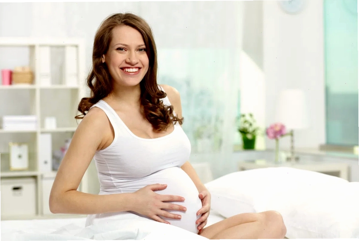 Mơ thấy rắn có bầu, biểu tượng của tài lộc và sự phát triển mạnh mẽ