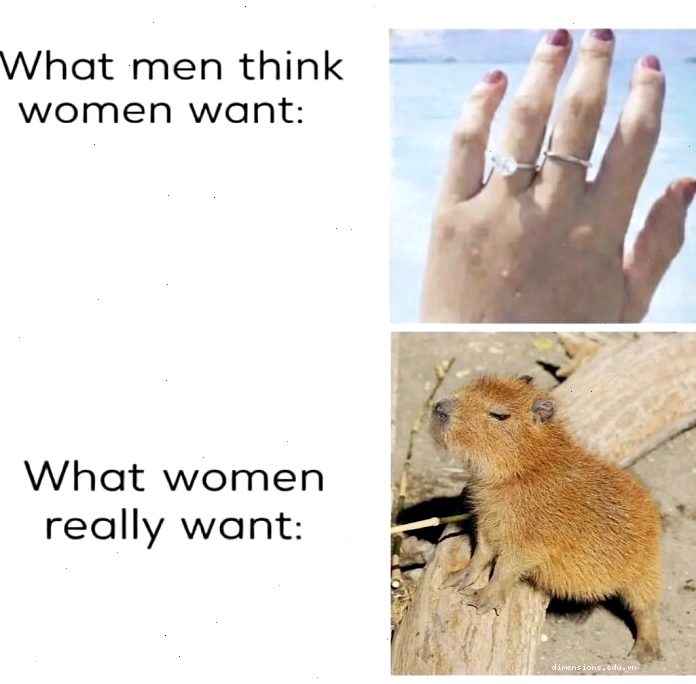 Một chú Capybara ngồi cạnh bánh sinh nhật