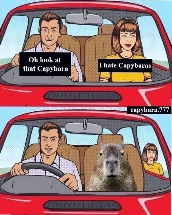 Một chú Capybara ngồi trong giỏ hàng siêu thị tạo nên meme hài hước