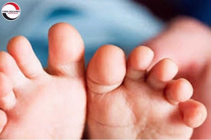 Ngón chân thứ ba dài nhất thể hiện sự năng động và ý chí mạnh mẽ