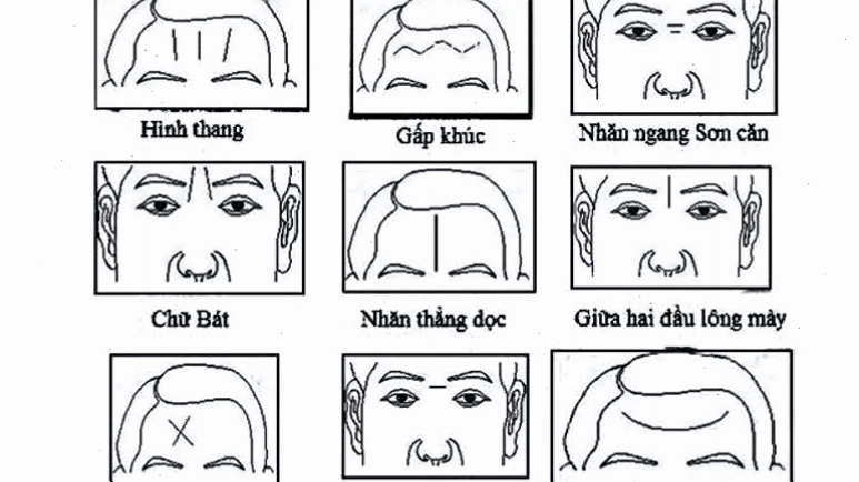 Người có nếp nhăn ngang trên trán thường thông minh và có khả năng lãnh đạo tốt