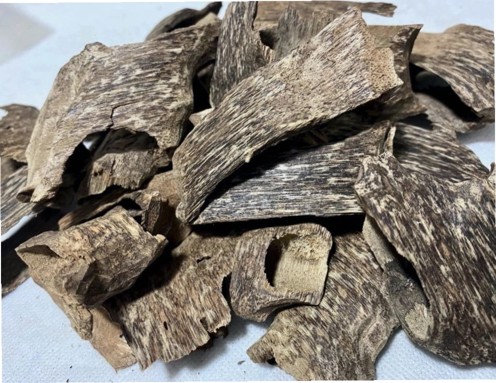 Nguồn gốc và ý nghĩa trầm hương trong phong thủy, gỗ trầm hương hợp mệnh gì