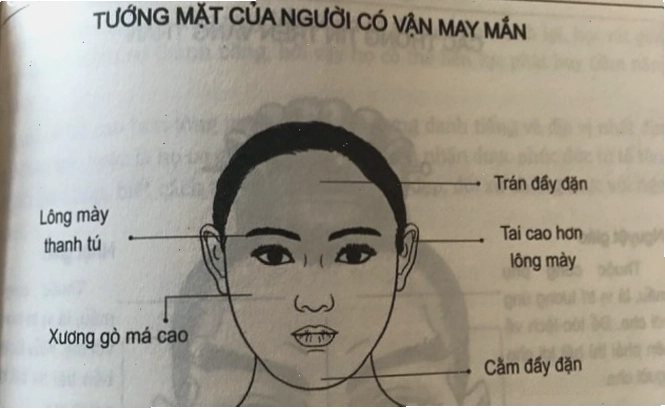 Nhận biết tướng mặt nữ may mắn qua các đặc điểm