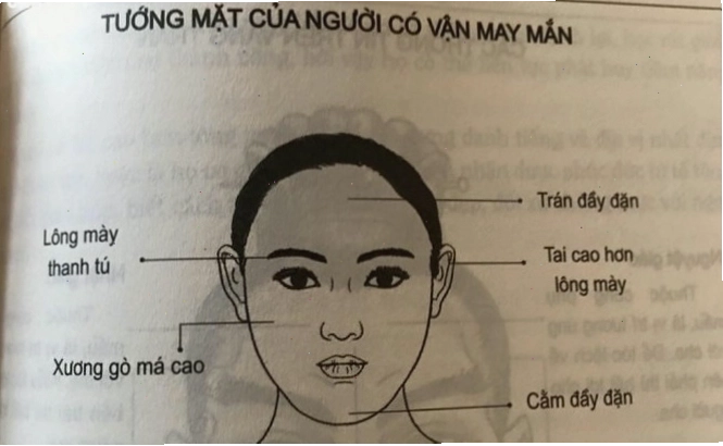 Nhận diện tướng mặt nữ may mắn qua các đặc điểm trên khuôn mặt
