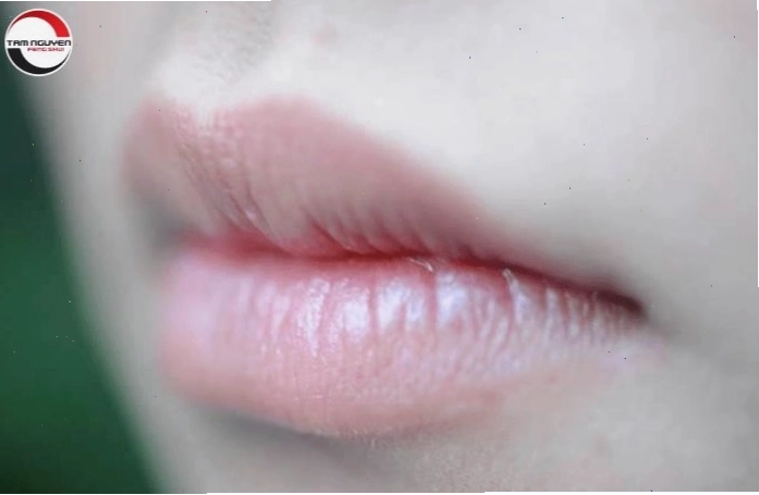 Nhân tướng học phụ nữ môi mỏng và trí tuệ