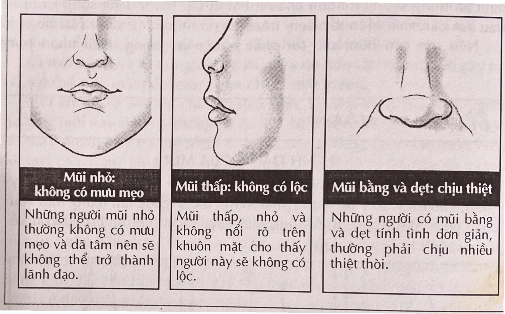 Nhân tướng học tướng mũi và ý nghĩa