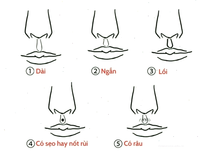 Nhân tướng học về mũi phụ nữ, thể hiện sự giàu sang và vận khí