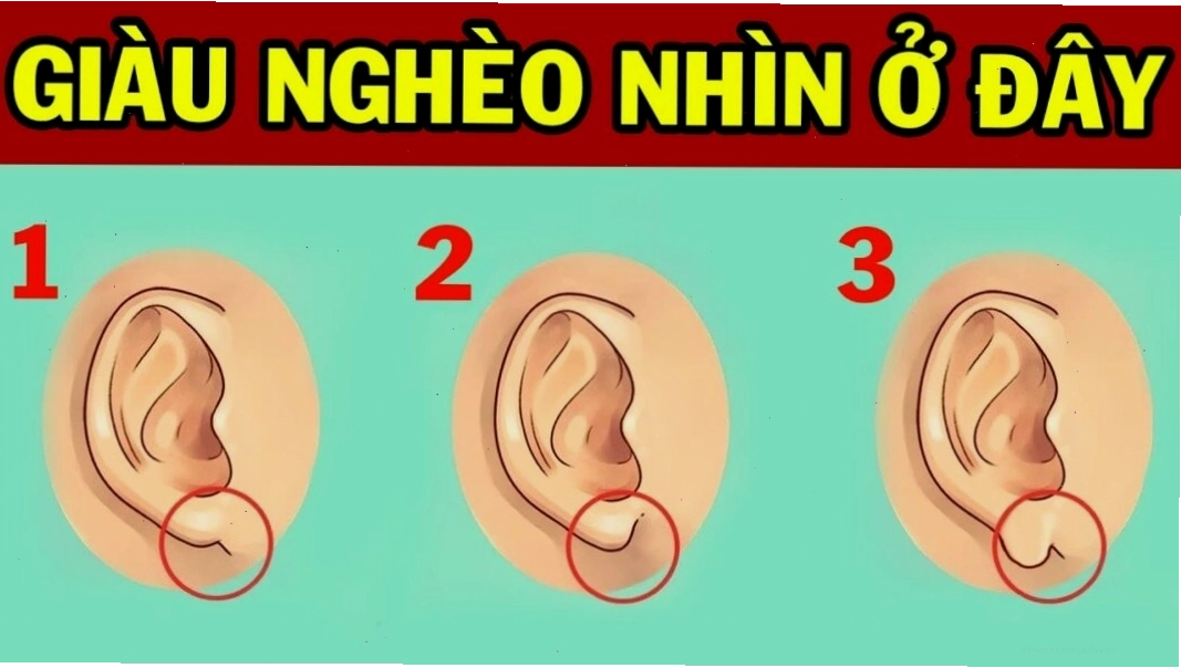 Nhân tướng học xem tướng tai chuẩn xác