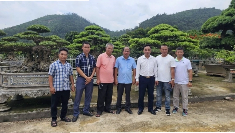 Nhiều tác phẩm cây cảnh đẳng cấp tại nhà vườn, trong đó có cây duối