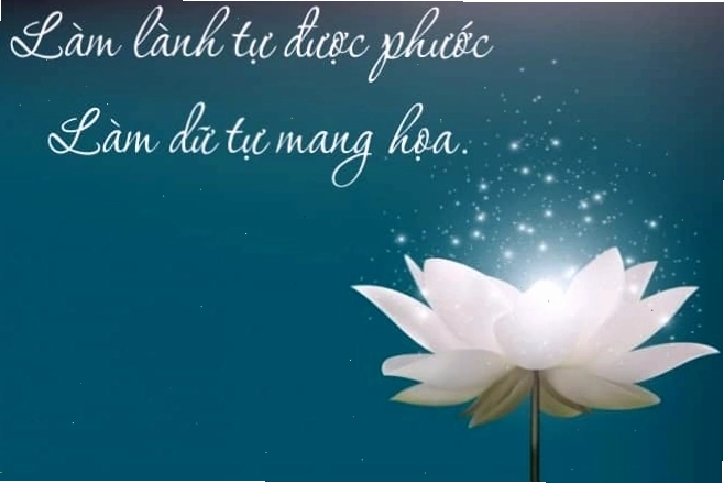 Những câu nói hay về luật nhân quả