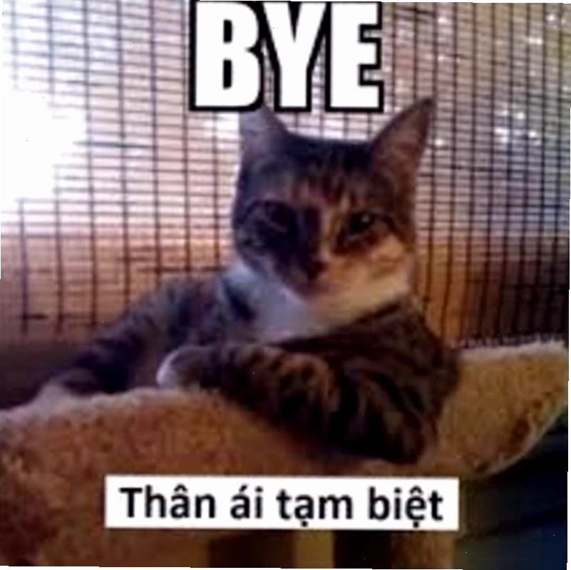 Những lợi ích không ngờ khi dùng meme tạm biệt