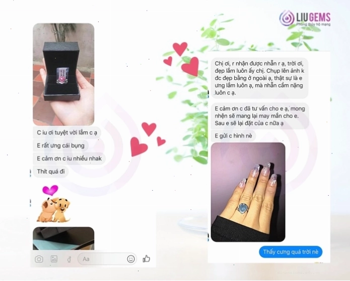 Phản hồi tích cực về việc nhìn thấy nhện